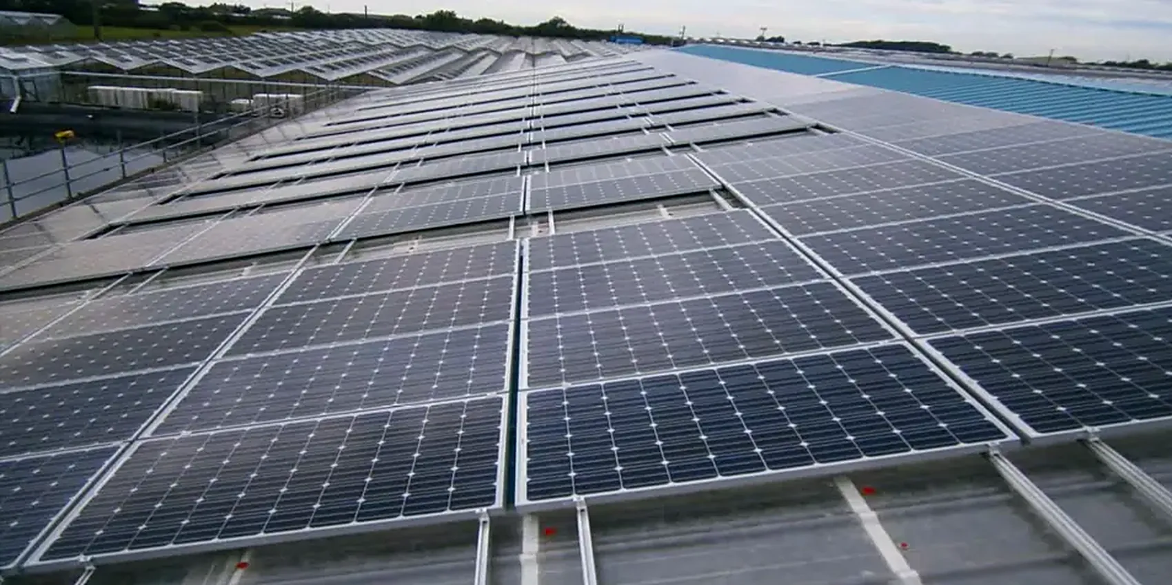 Solar array on the re-roofed packing house at Lovania Nurseries