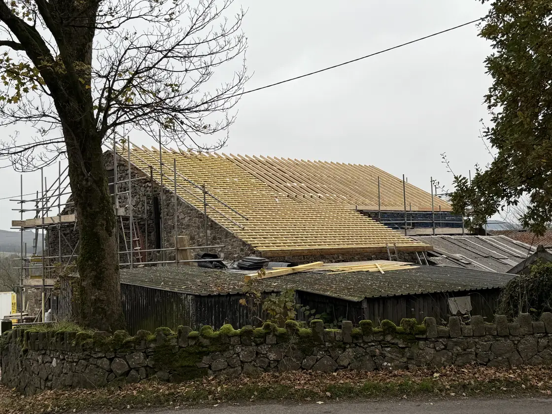 Stone barn at Fober Farm with new timber roof battens and scaffolding behind a dry stone wall